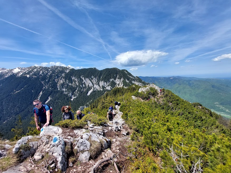 Excursie-Piatra-Mica-Valea-Crapaturii-Oxigen (4)